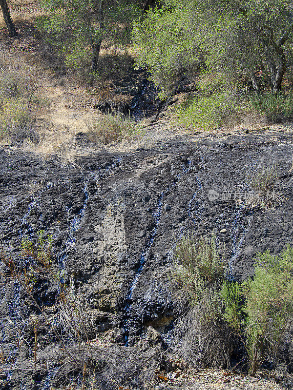 加州欧康油田Sisar Creek的天然石油渗漏